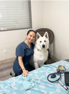 Doctor with White Dog